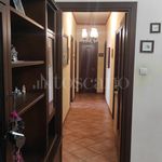 Rent 4 bedroom apartment of 118 m² in Catania