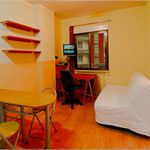 Rent 1 bedroom apartment in Salamanca