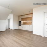 Rent 2 bedroom apartment of 59 m² in Krajková