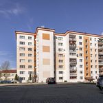 Rent 3 bedroom apartment of 72 m² in Sezemice
