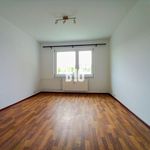 Rent 3 bedroom apartment of 76 m² in Číhošť