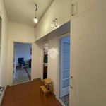 Rent 2 bedroom apartment of 52 m² in Roma