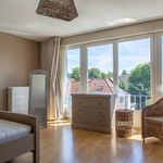 Rent 3 bedroom apartment of 160 m² in Grimbergen