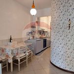Affitto 5 camera casa di 122 m² in Camaiore