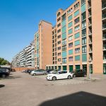 Rent 2 bedroom apartment of 125 m² in Eindhoven