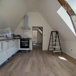 Rent 2 bedroom apartment of 42 m² in Gorinchem