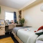 Rent 6 bedroom student apartment of 17 m² in Nottingham