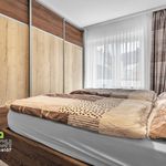 Rent 3 bedroom apartment of 104 m² in Nachod