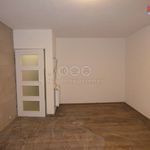 Rent 2 bedroom apartment of 57 m² in Louny