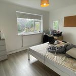 Rent 6 bedroom apartment in Colchester