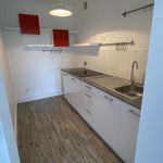 Rent 1 bedroom apartment of 32 m² in Nantes