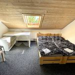 Rent 1 bedroom apartment of 20 m² in Svítkov