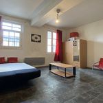  appartement avec 1 chambre(s) en location à Saumur
