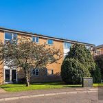 Rent 1 bedroom apartment in Chigwell