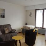 Rent 1 bedroom house of 25 m² in ANNECY