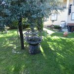 Rent 2 bedroom apartment of 40 m² in Frascati