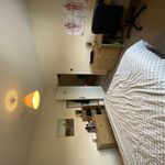 Rent 6 bedroom house in Worcester