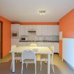 Rent 2 bedroom apartment of 104 m² in Wingene