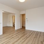 Rent 1 bedroom apartment of 46 m² in Hilversum