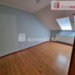 Rent 1 bedroom house of 50 m² in Roudnice nad Labem