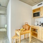 Rent 1 bedroom apartment of 30 m² in Calheta