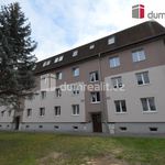 Rent 2 bedroom apartment of 50 m² in Lovosice
