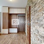 Rent 3 bedroom apartment of 84 m² in Píšťany