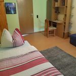 Rent 1 bedroom apartment of 17 m² in Braunschweig