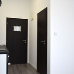 Rent 1 bedroom apartment of 16 m² in Sázava