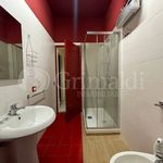 Rent 2 bedroom apartment of 60 m² in Zona Industriale