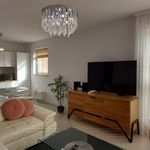 Rent 3 bedroom apartment of 76 m² in Katowice