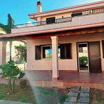 Rent 6 bedroom house of 160 m² in Altavilla Milicia