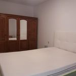Rent 6 bedroom apartment in Braga