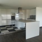 Rent 4 bedroom apartment of 130 m² in Brest
