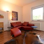 Rent 1 bedroom apartment of 36 m² in Berlin, Stadt