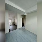 Rent 1 bedroom apartment in LAXOU