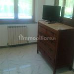 Rent 2 bedroom apartment of 30 m² in Siena