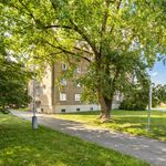 Rent 1 bedroom apartment in Kladno