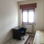 Affitto 1 camera appartamento di 60 m² in San Giovanni Rotondo