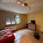 Rent 1 bedroom apartment of 48 m² in Jáchymov