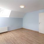 Rent 2 bedroom apartment in Scherpenheuvel-Zichem