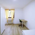 Rent a room of 90 m² in dusseldorf
