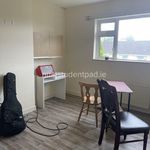 Rent 5 bedroom house in Galway