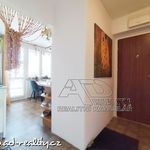 Rent 4 bedroom apartment of 82 m² in Ceské Budejovice
