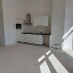 Rent 1 bedroom apartment of 48 m² in Leiden
