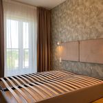 Wynajmij 2 sypialnię apartament z 40 m² w Katowice