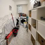 Rent 1 bedroom apartment in Anderlues