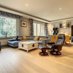 Rent 7 bedroom house of 340 m² in Uccle