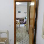 Rent 3 bedroom apartment of 61 m² in Scalea