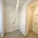 Rent 3 bedroom apartment of 90 m² in Wien